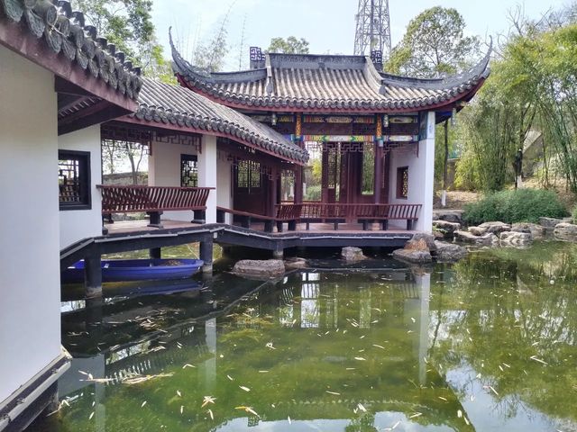 打卡古風園林，感受傳統韻味！
