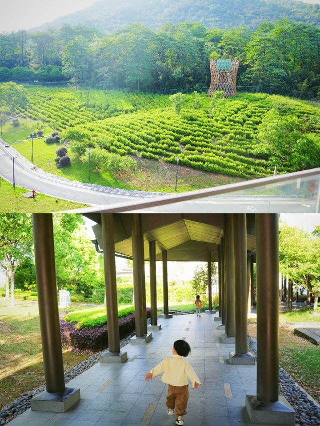 住進風景裡 | 安吉度假村一站式親子遛娃 住進風景裡 | 安吉度假村一站式親子遛娃