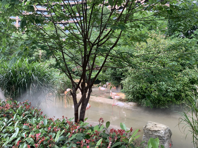五一勇闖湖州龍之夢，體驗還可以