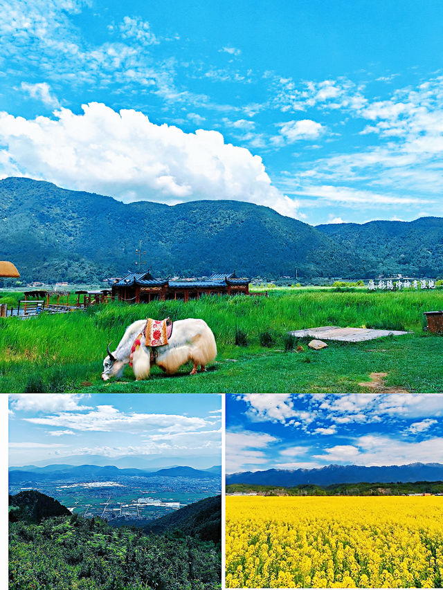 騰沖｜5-6月嚟真香！小眾旅遊寶藏地