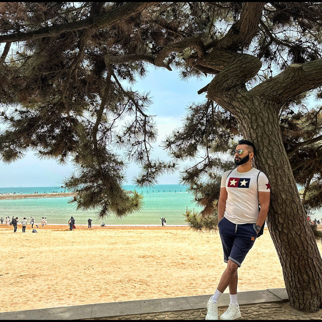 The Second Bathing Beach - Qingdao 