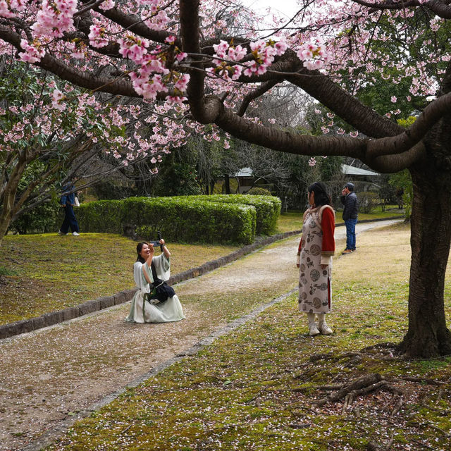 🌸藏在名古屋城邊的春日浪漫！名城公園賞櫻&打卡指南✨