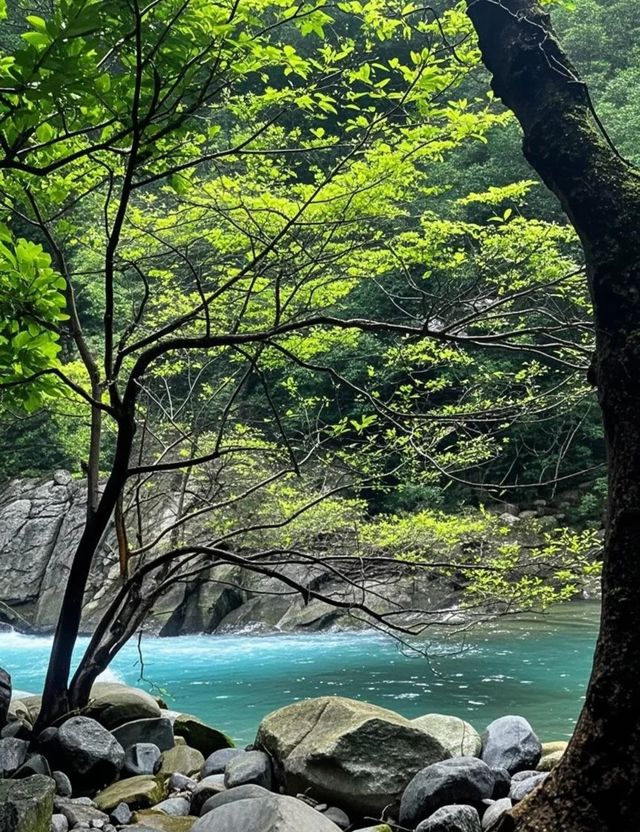 連雲港之旅：山海相擁的浪漫港城