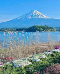 東京出發，懶人富士山網紅打卡攻略