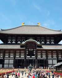 京都＆奈良＆宇治攻略，穿越關西3大名城。