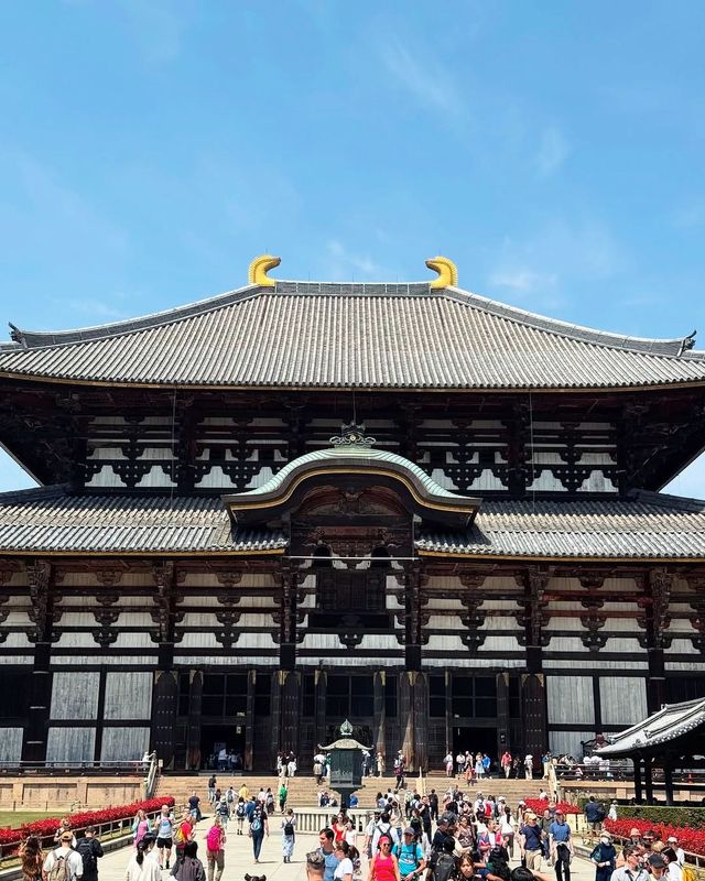 京都＆奈良＆宇治攻略，穿越關西3大名城。