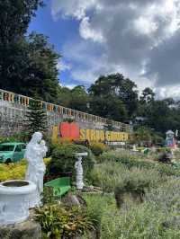 The beautiful  Sirao Gardens 