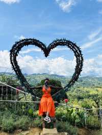 The beautiful  Sirao Gardens 
