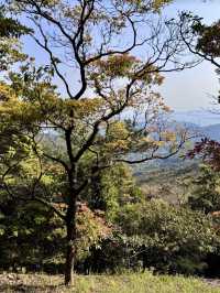 雲頂之上，尋一段安靜的風