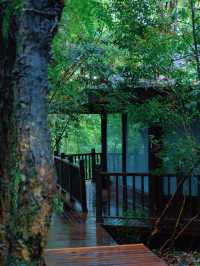 普洱小熊貓莊園｜同小朋友一齊入住人生必住酒店！