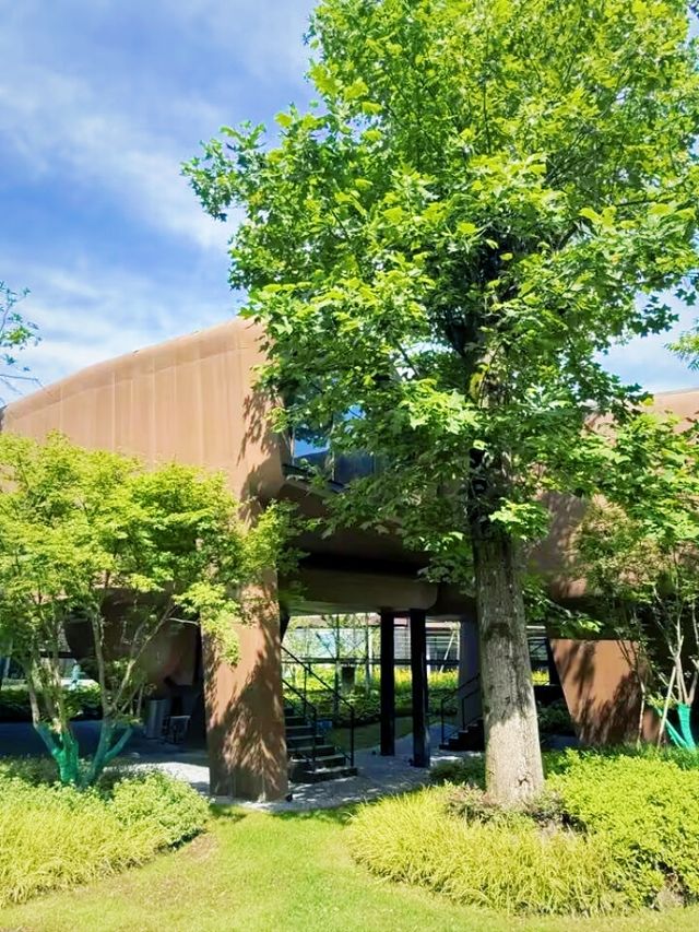 夏天玩水漂流，桐廬絕對係首選！