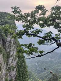張家界探秘之旅：天門山與森林公園的極致體驗