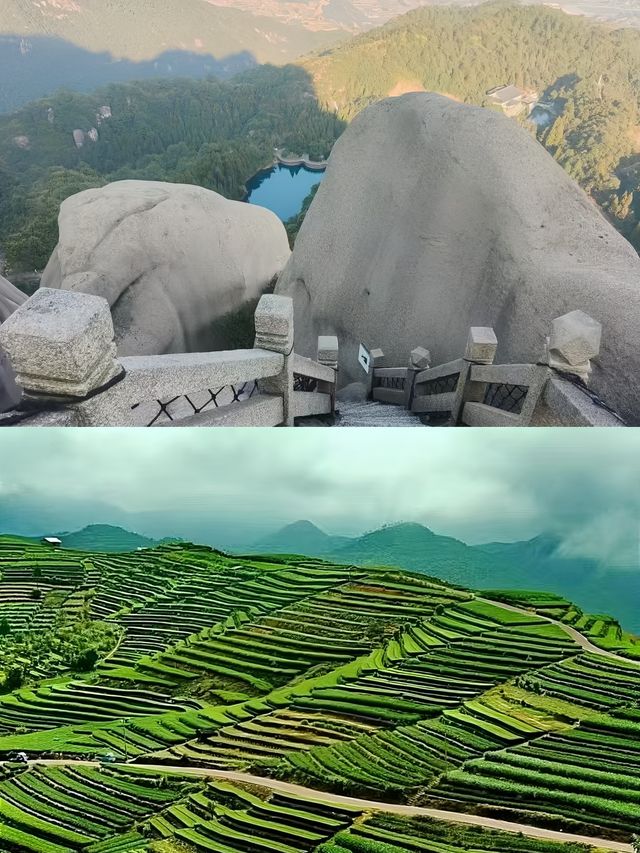 福鼎返嚟，勸得一個得一個。