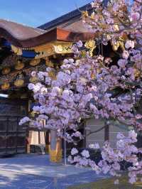 京都2日遊｜人均2千+輕鬆玩轉
