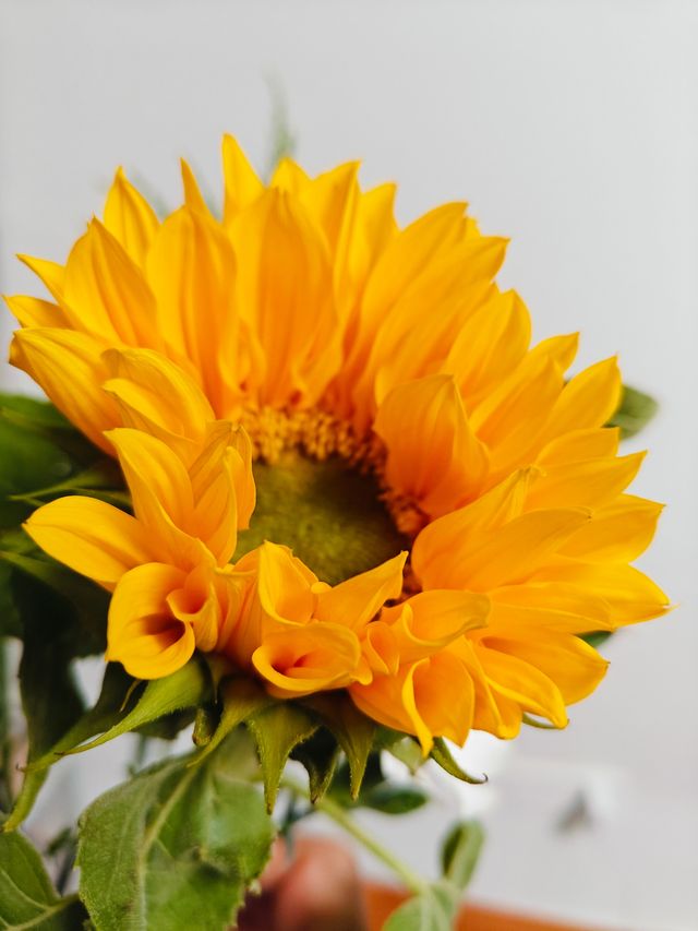 花點時間買束花，我的夏天直接降溫5°C