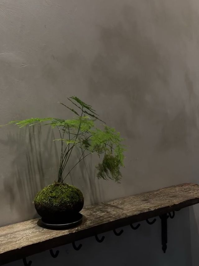 宛如小京都嘅日式侘寂初春感