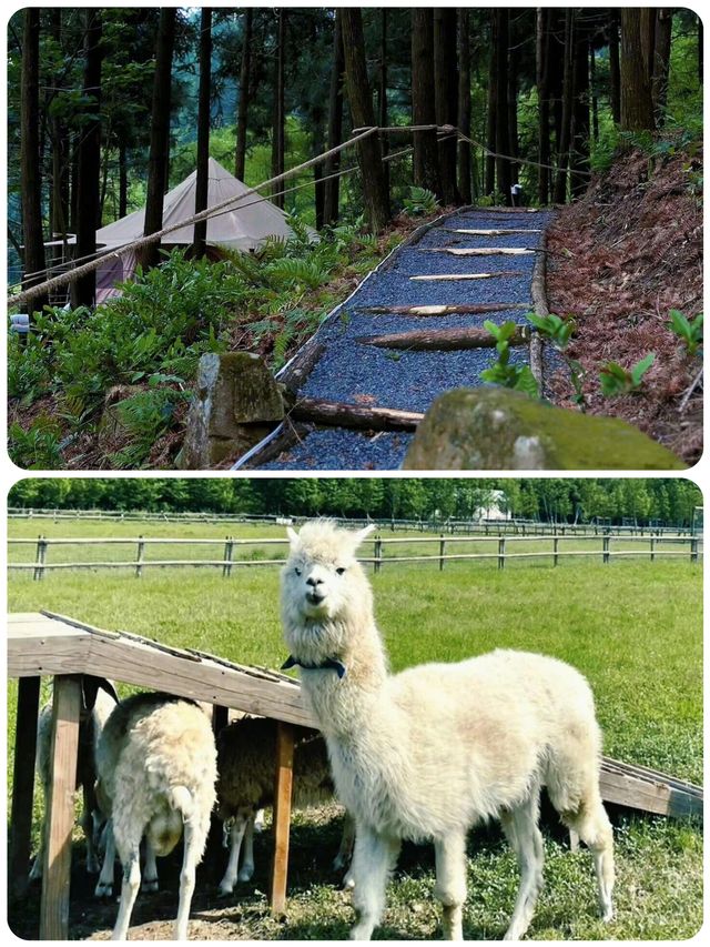 喺百年別墅聽風吟，喺田園牧場追光跑