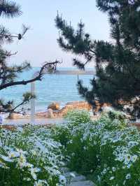 【青島旅拍日記】棧橋邊嘅治癒系週末