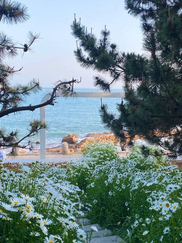 【青島旅拍日記】棧橋邊嘅治癒系週末