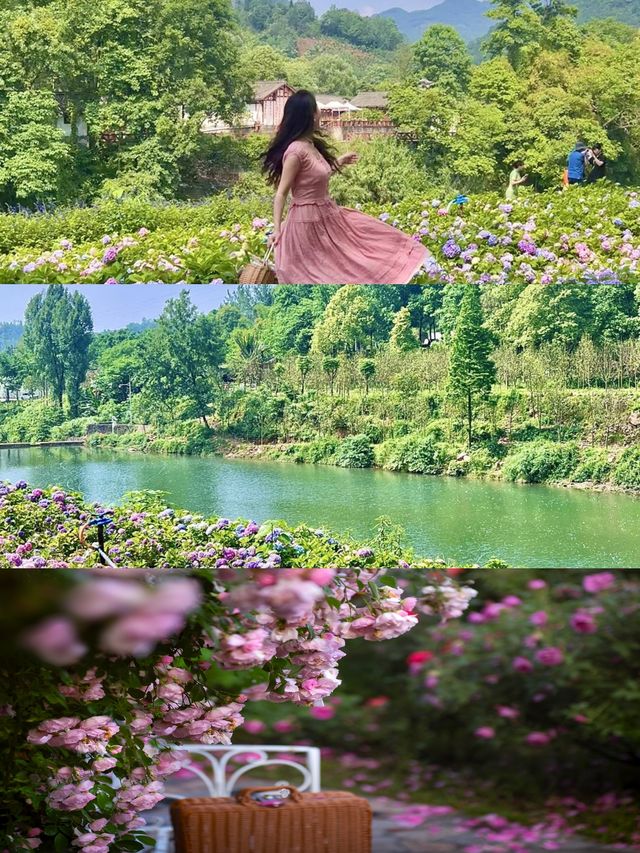 揚州慢｜淡人六月下揚州