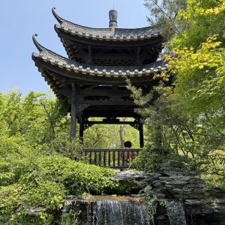 수원에서 만나볼 수 있는 중국식 공원에서 힐링해보세요🍃