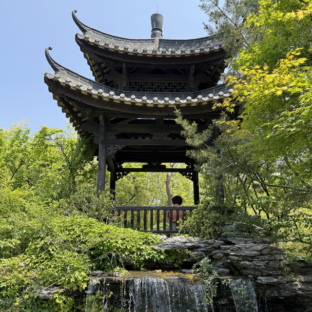 수원에서 만나볼 수 있는 중국식 공원에서 힐링해보세요🍃