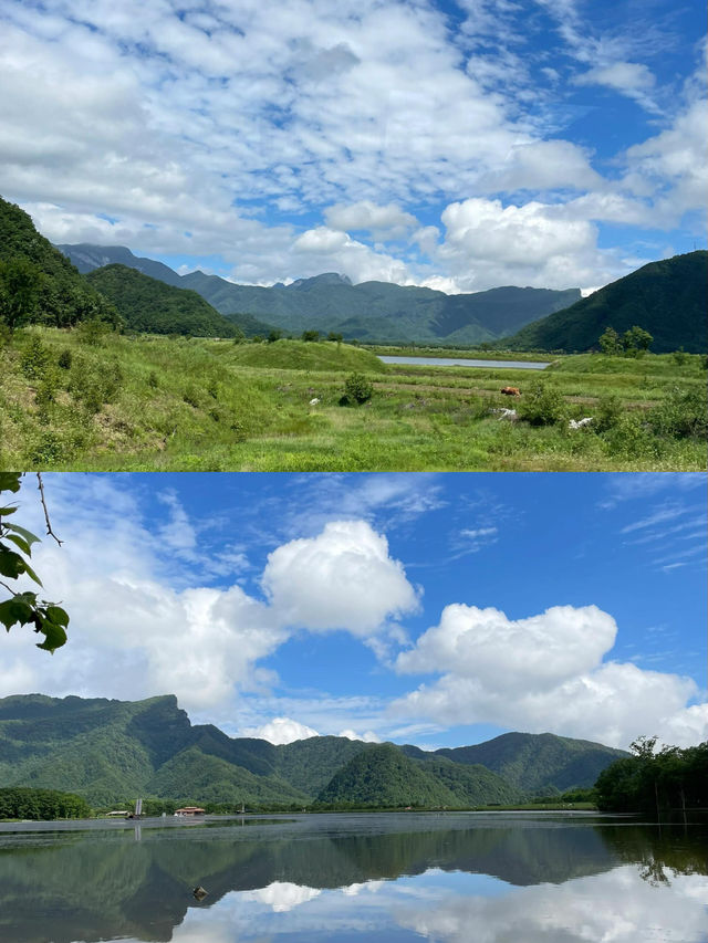 探秘「華中屋脊」，邂逅野人傳說！