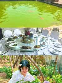 六月揚州｜繡球花海與松林氧吧嘅治癒之旅