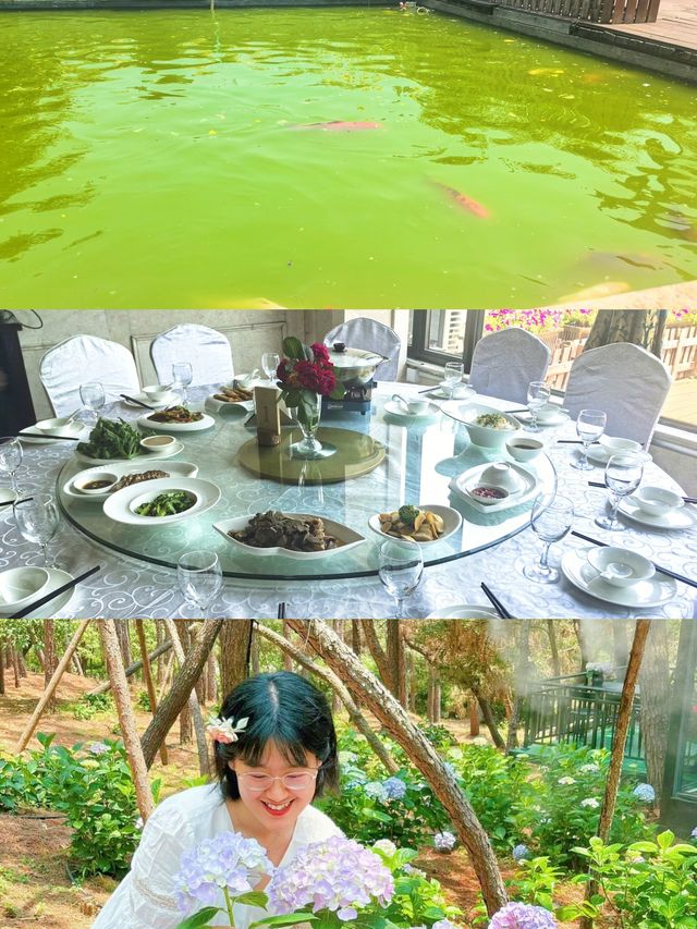 六月揚州｜繡球花海與松林氧吧嘅治癒之旅