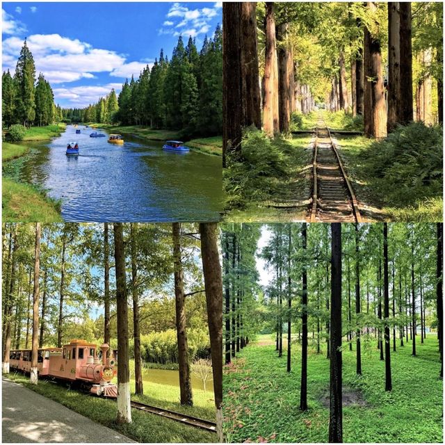 東台｜小眾生態休閒小城，誰來了都愛