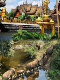 西雙版納超全旅遊攻略｜一篇在手，版納我有