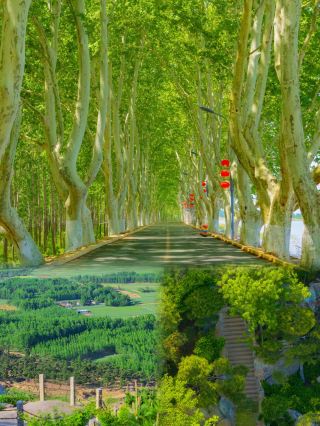 Lianyungang, Jiangsu | Visiting in the off-season of June-July is truly delightful with fewer crowds and beautiful scenery