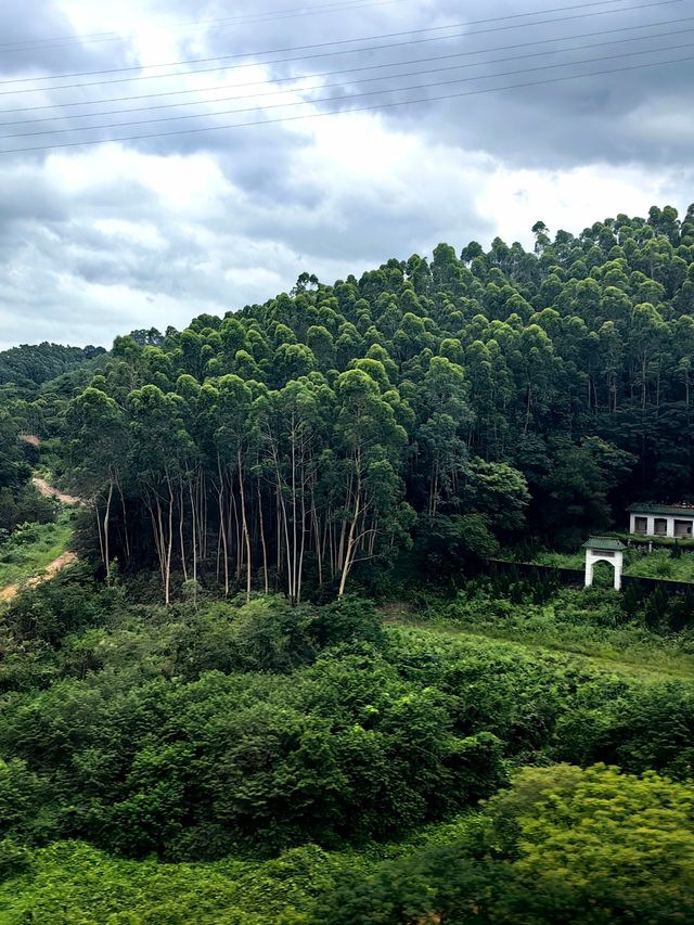 鄉土中國——高鐵沿途嘅風景（東南）