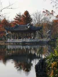 Shanghai World Expo Cultural Park | A Relaxing Weekend Getaway 🌿