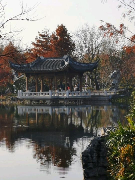 Shanghai World Expo Cultural Park | A Relaxing Weekend Getaway 🌿