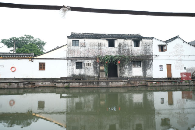 煙雨洗青簷，初夏邂南潯