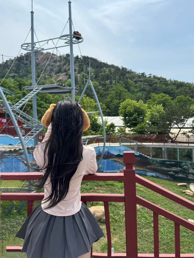 威海西霞口野生動物園真係正到爆！