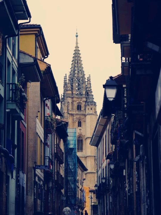 유럽 속 숨겨진 보석, 스페인 오비에도(Oviedo) 여행 가이드​