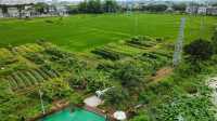碉樓腳下好住處