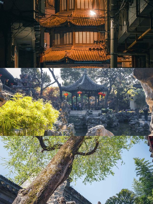 上海周邊親子遊，揚州藏著咩驚喜？