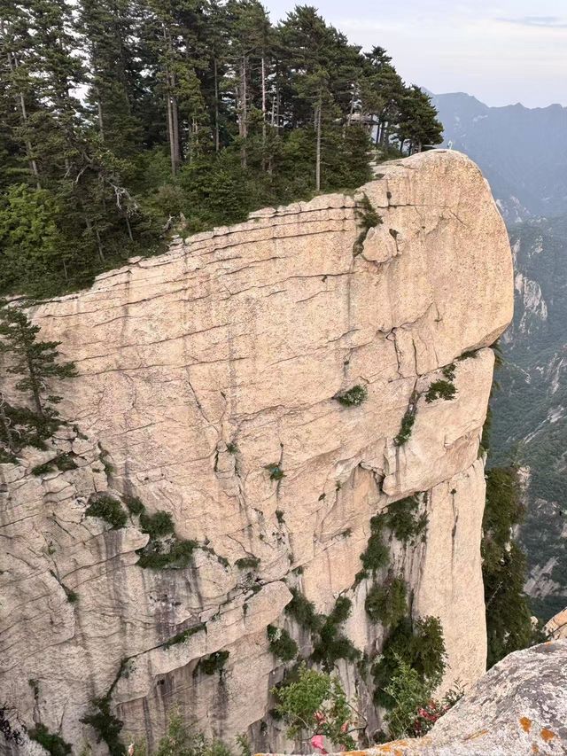 西安——解開華夏文明的千年密碼  站在陝西歷史博物館的中央大廳，130萬件文物綿延出7000年的文明