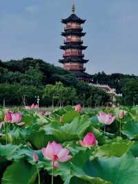 雨季來臨嘅南昌，藏住最詩意嘅夏天~