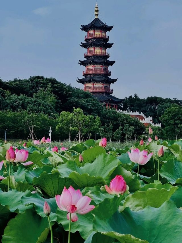 雨季來臨嘅南昌，藏住最詩意嘅夏天~