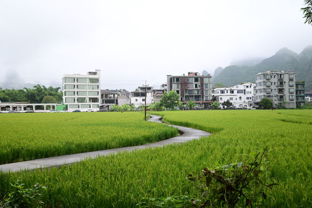 雲霧山中起，仙境數十里！