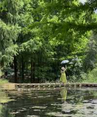 夏風、綠意、同免費嘅靚景係昆明嘅夏天