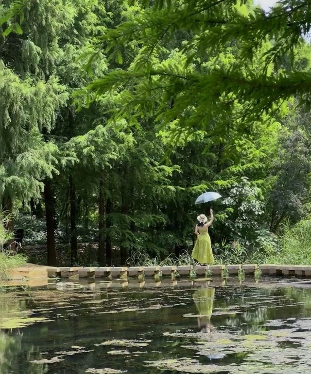 夏風、綠意、同免費嘅靚景係昆明嘅夏天