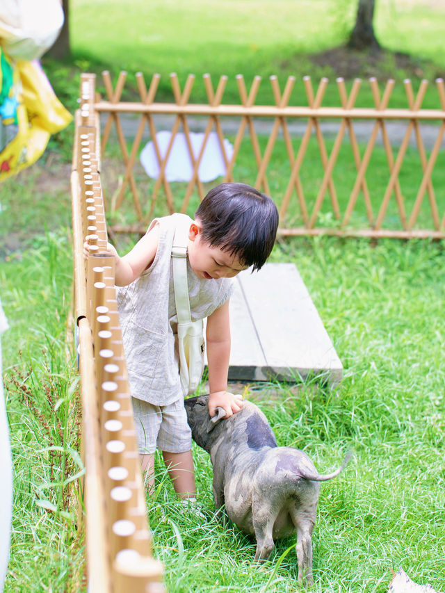 江浙滬親子遊｜一價全包烏鎮烏村遛娃攻略