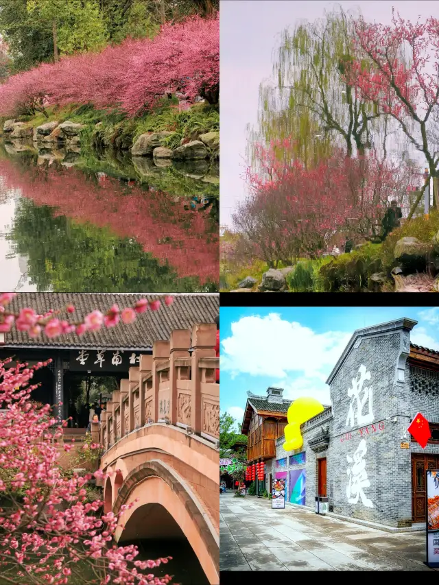 Suitable for a family of four, budget travel in Chengdu for 3 days and 2 nights