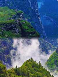 根本抗拒唔到夏天嘅鹿角梁,實在太靚啦