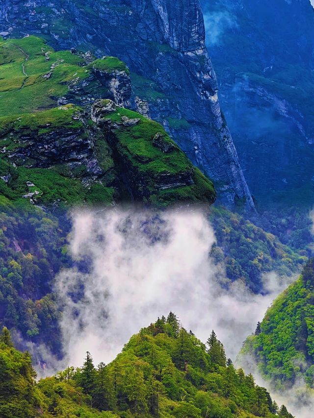 根本抗拒唔到夏天嘅鹿角梁,實在太靚啦 根本抗拒唔到夏天嘅鹿角梁,實在太靚啦